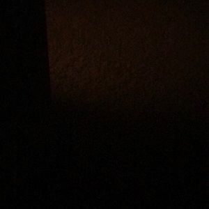 Meet your Posher, Bree